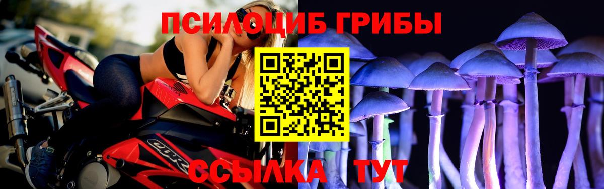 Псилоцибиновые грибы Psilocybe  Вход с VPN  Шали 